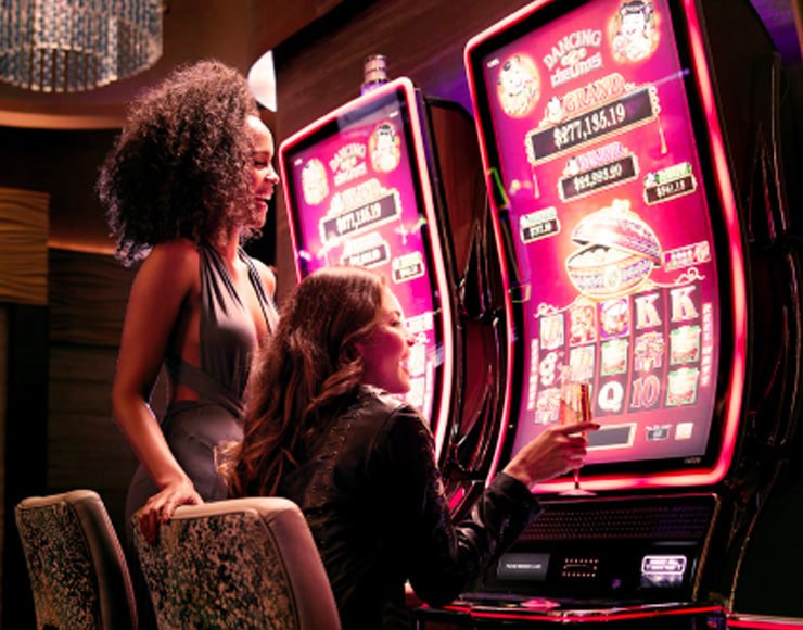 Giao diện nền tảng dagacam hiển thị sportsbook và live casino trên điện thoại